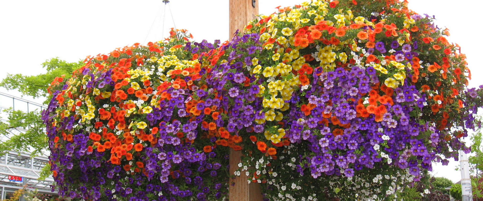 Lynden Baskets Vander Giessen Nursery, Inc.