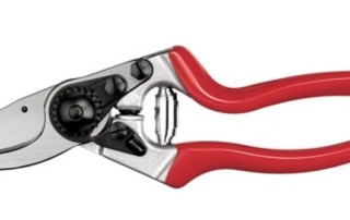 Felco Pruner