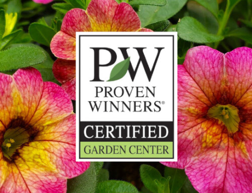 2025 Proven Winners Annuals