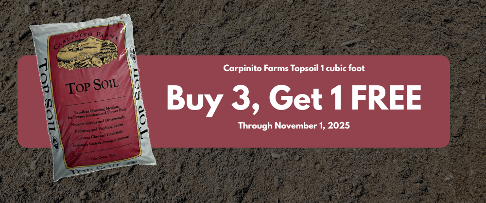 Carpinito Topsoil Bag Sale Fall 2025