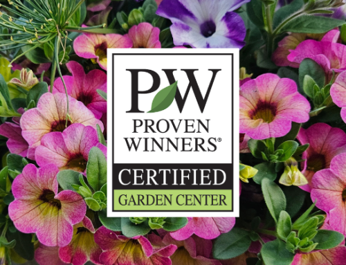 2026 Proven Winners Annuals